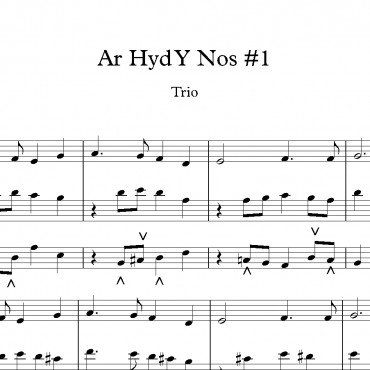 Ar Hyd Y Nos #1 - Trio Prelude & Last Verse in G
