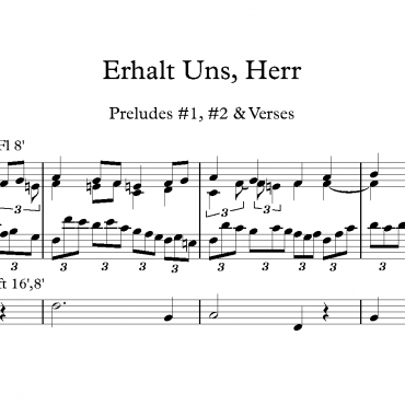 Erhalt Uns Herr - Preludes & Verses