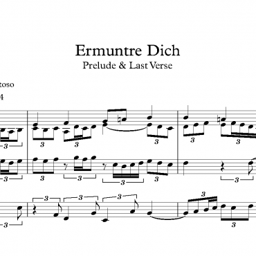 Ermuntre Dich - Prelude & Verses