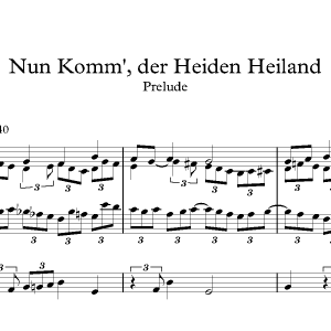 Nun Komm der Heiden Heiland<br><p>Prelude & Verses</br></p>