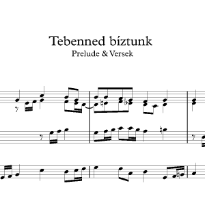 Tebenned biztunk<br><p>Prelude & Verses</br></p>